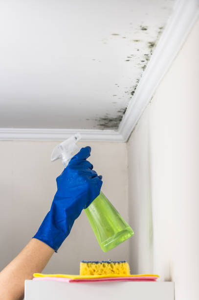 Best Mold Testing  in Sudden Valley, WA